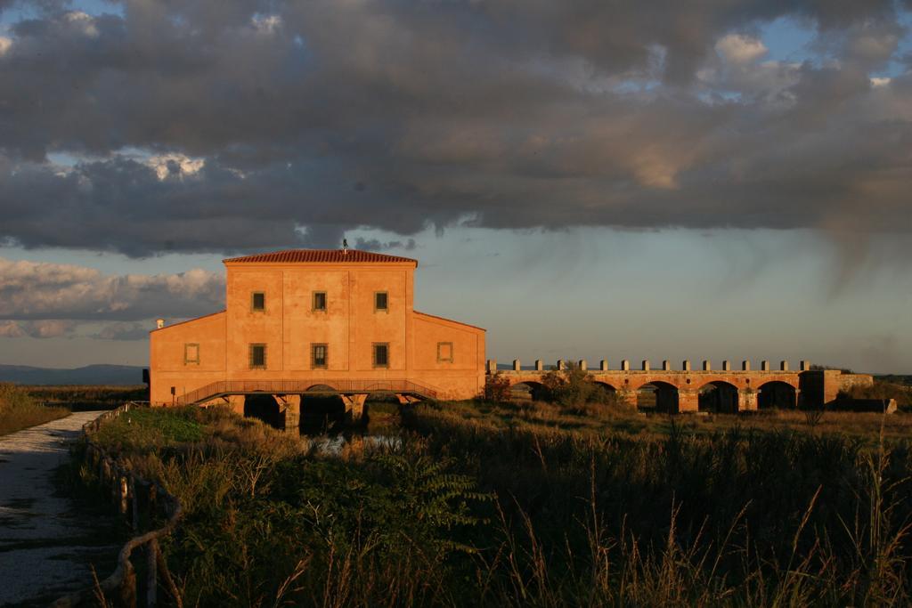 Cav Brunella Castiglione della Pescaia Phòng bức ảnh